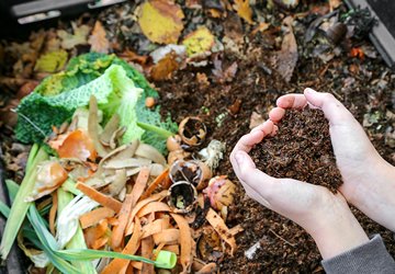 Quels déchets mettre au compost ?